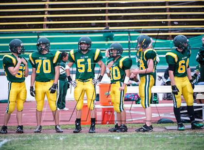 Thumbnail 3 in Bear River @ Placer photogallery.
