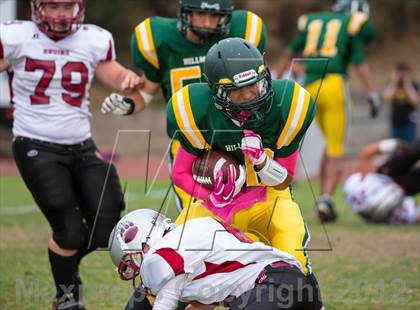 Thumbnail 1 in Bear River @ Placer photogallery.
