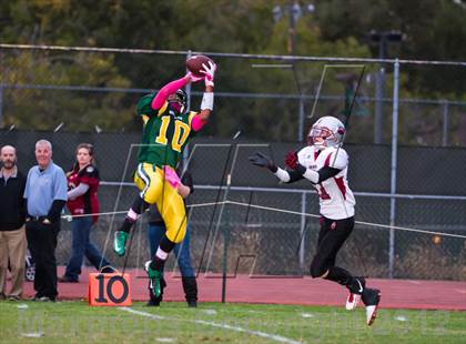 Thumbnail 1 in Bear River @ Placer photogallery.