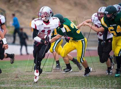 Thumbnail 3 in Bear River @ Placer photogallery.
