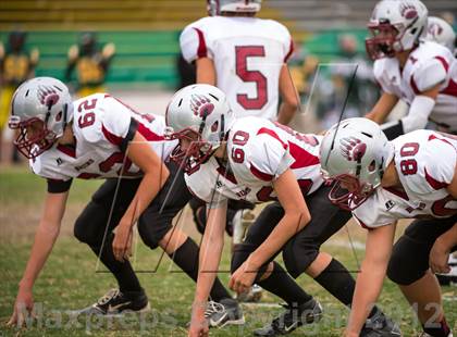 Thumbnail 3 in Bear River @ Placer photogallery.
