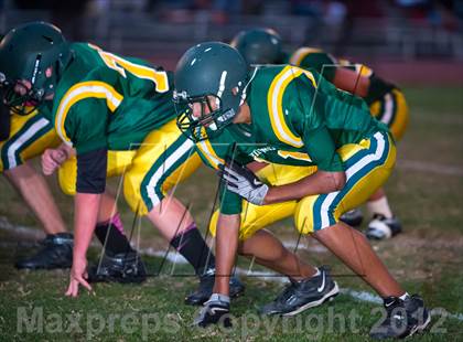 Thumbnail 1 in Bear River @ Placer photogallery.