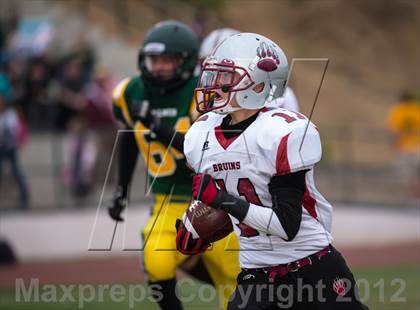 Thumbnail 1 in Bear River @ Placer photogallery.