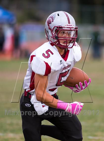 Thumbnail 3 in Bear River @ Placer photogallery.