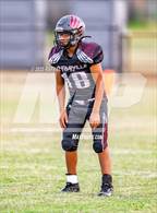 Photo from the gallery "Zephyr @ Lingleville"