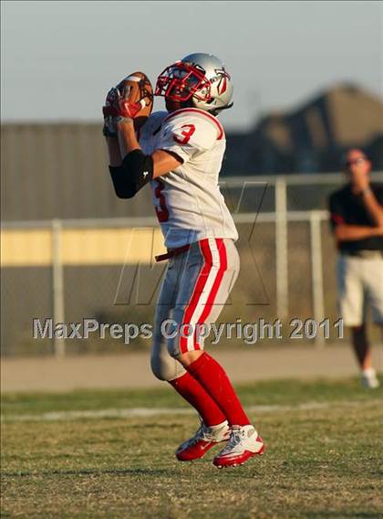 Thumbnail 1 in Antelope @ Pioneer photogallery.