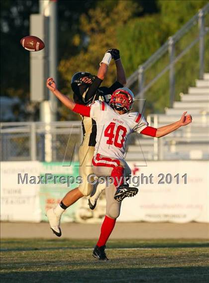Thumbnail 1 in Antelope @ Pioneer photogallery.