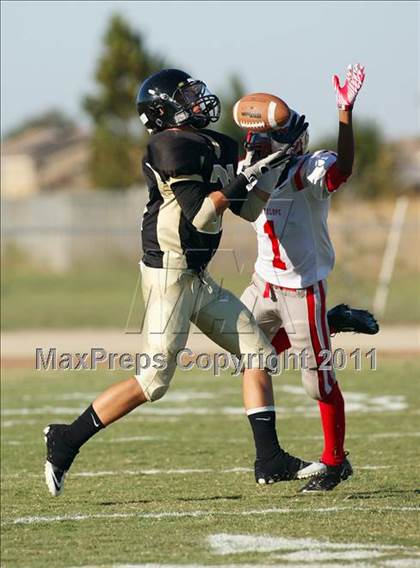 Thumbnail 3 in Antelope @ Pioneer photogallery.