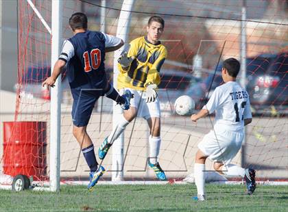 Thumbnail 2 in Oswego @ Plainfield North photogallery.