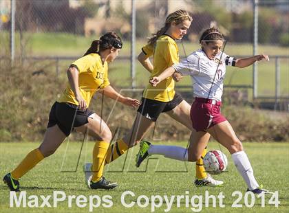 Thumbnail 1 in Del Oro @ Whitney photogallery.