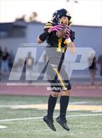 Photo from the gallery "Redwood @ Enterprise"
