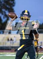 Photo from the gallery "Redwood @ Enterprise"