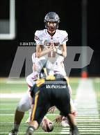 Photo from the gallery "Redwood @ Enterprise"