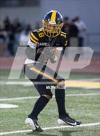 Photo from the gallery "Redwood @ Enterprise"