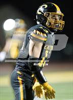 Photo from the gallery "Redwood @ Enterprise"