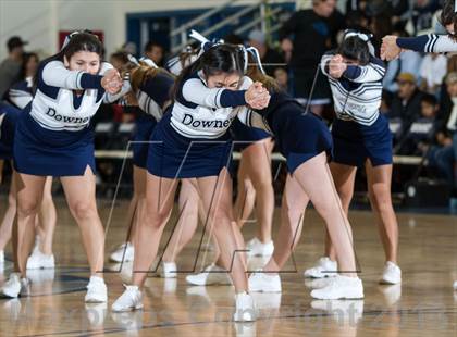 Thumbnail 2 in Downey @ Johansen photogallery.