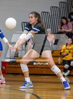 Photo from the gallery "Clayton @ Laney"