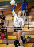 Photo from the gallery "Clayton @ Laney"