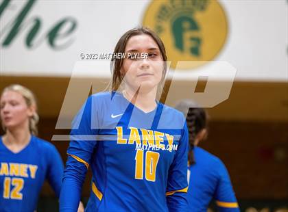 Thumbnail 2 in Clayton @ Laney photogallery.
