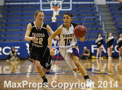 Thumbnail 3 in Holy Family vs Pagosa Springs (CHSAA 3A Final) photogallery.