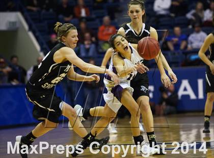 Thumbnail 1 in Holy Family vs Pagosa Springs (CHSAA 3A Final) photogallery.