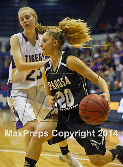 Thumbnail 3 in Holy Family vs Pagosa Springs (CHSAA 3A Final) photogallery.