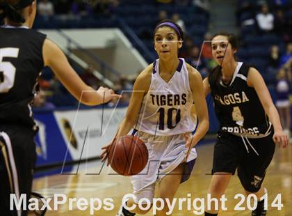 Thumbnail 3 in Holy Family vs Pagosa Springs (CHSAA 3A Final) photogallery.