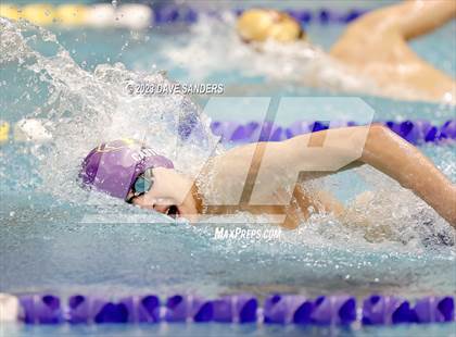Thumbnail 2 in UIL 4A State Varsity Swim & Dive Finals photogallery.