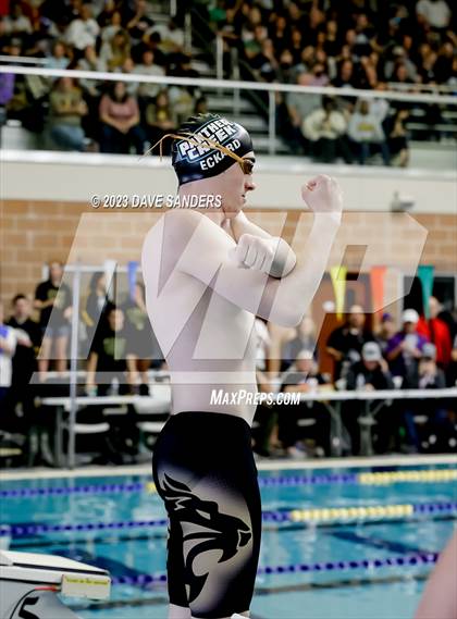 Thumbnail 3 in UIL 4A State Varsity Swim & Dive Finals photogallery.