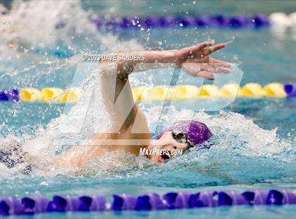 Thumbnail 3 in UIL 4A State Varsity Swim & Dive Finals photogallery.