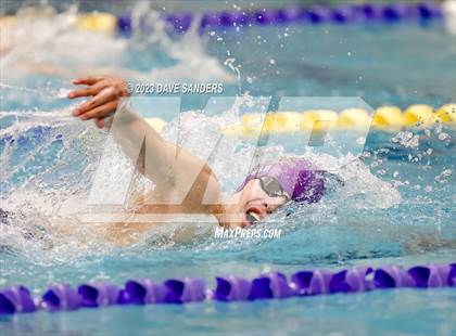 Thumbnail 1 in UIL 4A State Varsity Swim & Dive Finals photogallery.