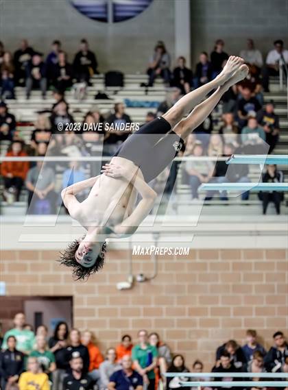 Thumbnail 1 in UIL 4A State Varsity Swim & Dive Finals photogallery.