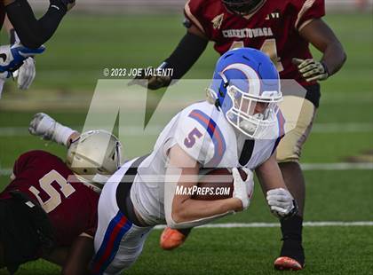 Thumbnail 3 in Williamsville South @ Cheektowaga photogallery.