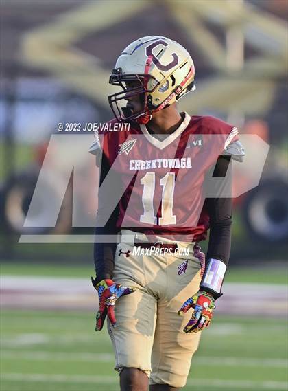 Thumbnail 1 in Williamsville South @ Cheektowaga photogallery.