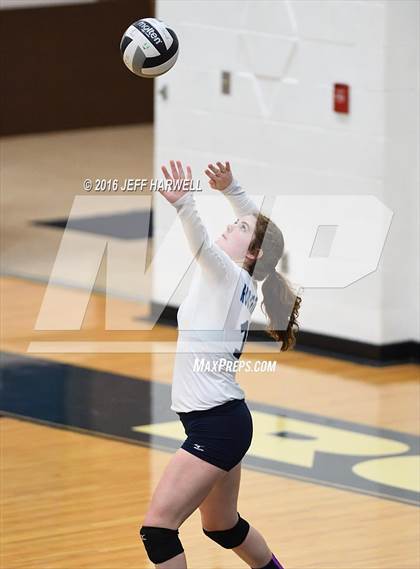 Thumbnail 2 in Garfield @ Rootstown photogallery.