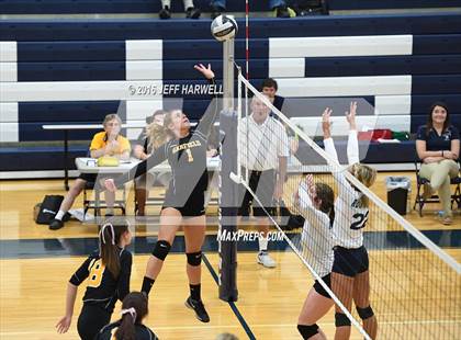 Thumbnail 3 in Garfield @ Rootstown photogallery.