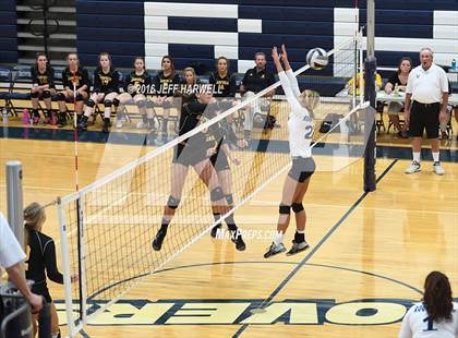 Thumbnail 2 in Garfield @ Rootstown photogallery.