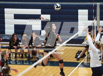 Thumbnail 2 in Garfield @ Rootstown photogallery.