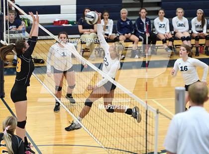 Thumbnail 3 in Garfield @ Rootstown photogallery.