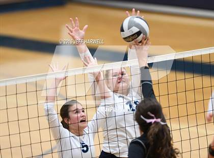 Thumbnail 2 in Garfield @ Rootstown photogallery.