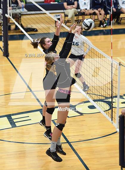 Thumbnail 2 in Garfield @ Rootstown photogallery.