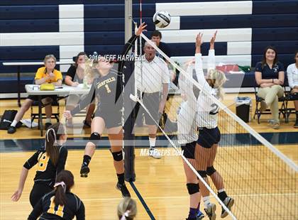 Thumbnail 1 in Garfield @ Rootstown photogallery.