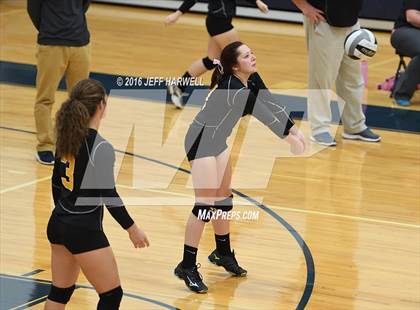 Thumbnail 3 in Garfield @ Rootstown photogallery.