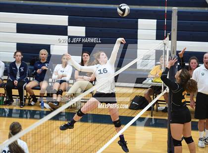 Thumbnail 1 in Garfield @ Rootstown photogallery.