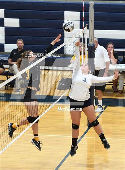 Thumbnail 2 in Garfield @ Rootstown photogallery.