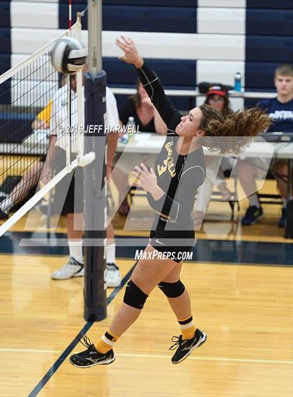 Thumbnail 2 in Garfield @ Rootstown photogallery.