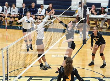 Thumbnail 1 in Garfield @ Rootstown photogallery.