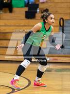 Photo from the gallery "Freeport @ Choctawhatchee"