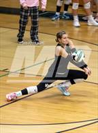 Photo from the gallery "Freeport @ Choctawhatchee"