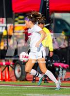 Photo from the gallery "Laguna Creek @ McClatchy"